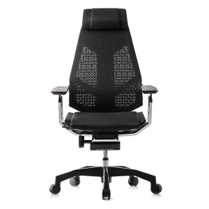 Genidia Ergonomic Office Chair in Black Mesh